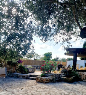Property Image 49