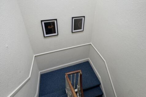IMG_8785