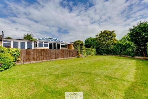 Back garden 1.1