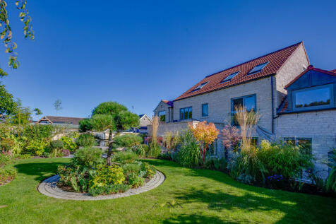 Back garden 1.1