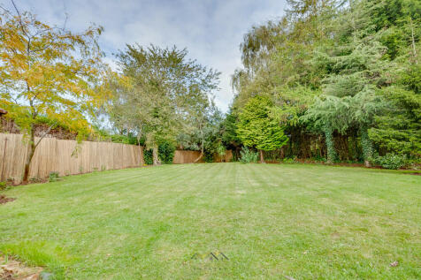 Back garden 1.1