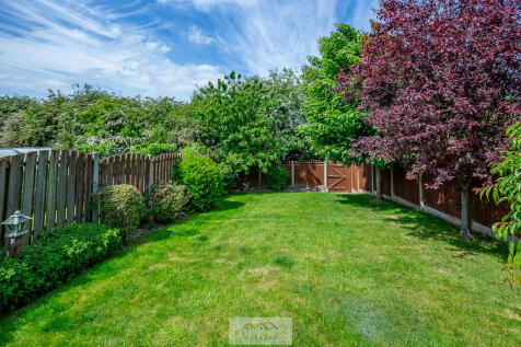 Back garden 1.6