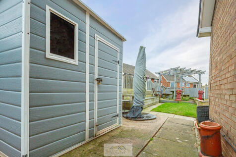 Back garden 1.1