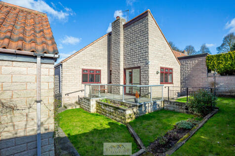 Back garden 1.1