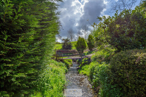 Back garden 1.10
