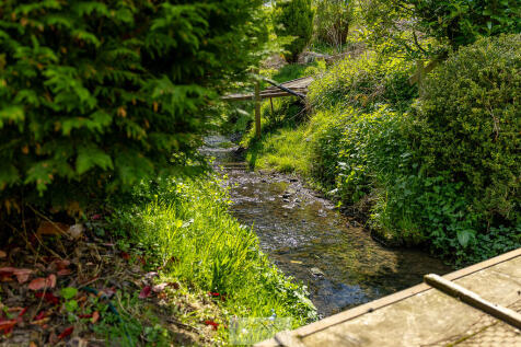 Back garden 1.14