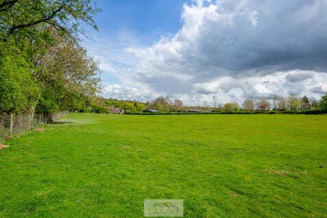 Field on back of ...