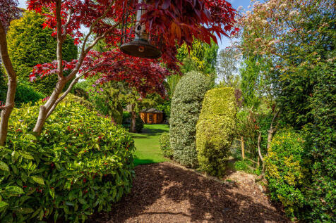 Back garden 1.3