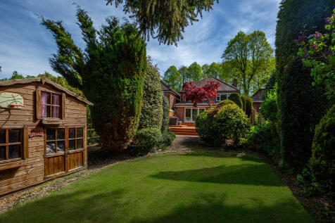Back garden 1.9