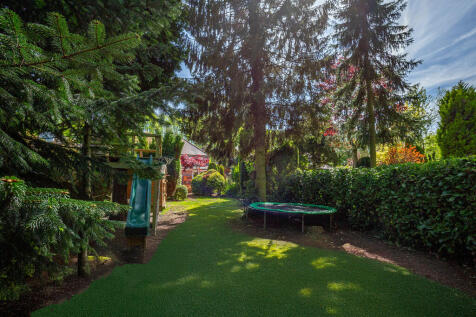 Back garden 1.8