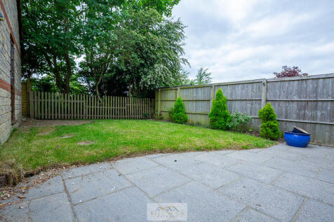 Back garden 1.1