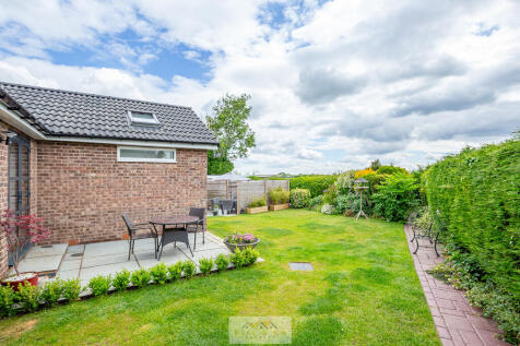 Back garden 1.1