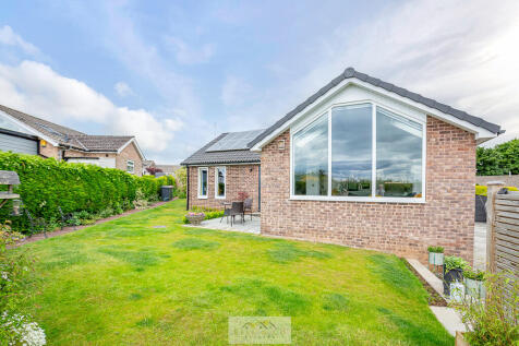 Back garden 1.3
