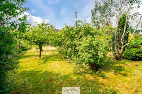 Rear Garden 6
