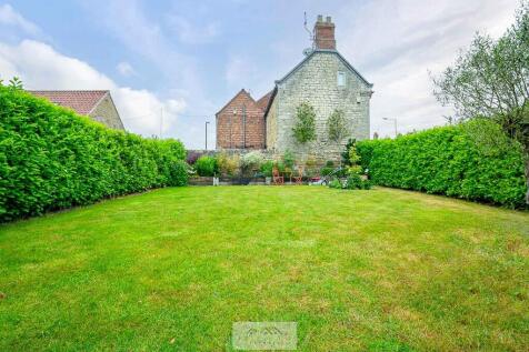 Back garden 1.4