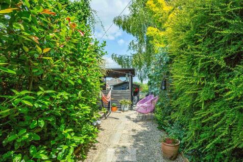 Back garden 1.5