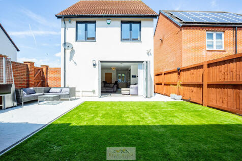 Back garden 1.1