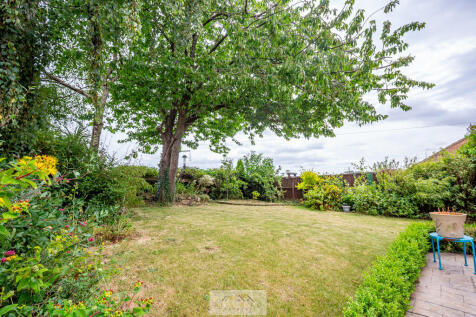 Back garden 1.4