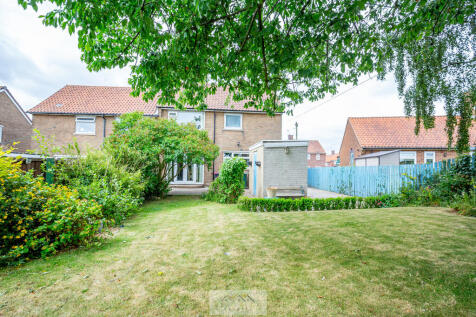 Back garden 1.5