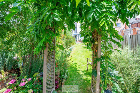 Back garden 1.6