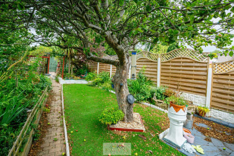 Back garden 1.5