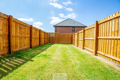 Back garden 1.1
