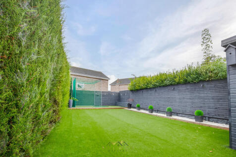 Back garden 1.1
