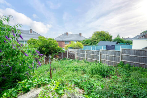 Back garden