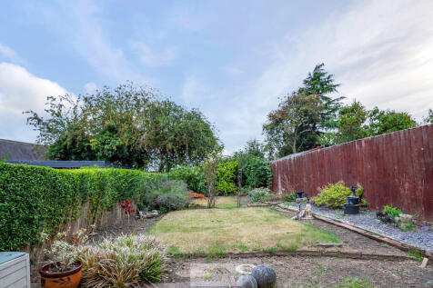 Back garden