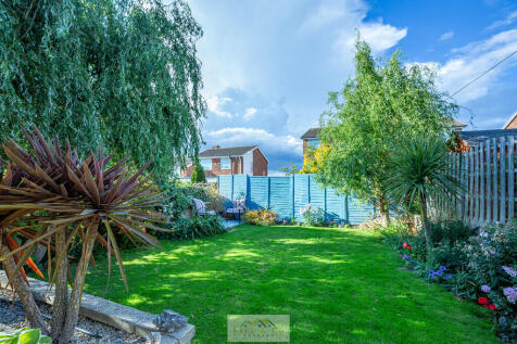 Back garden 1.1