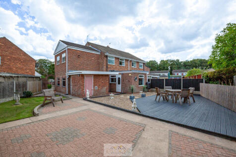Back garden 1.5