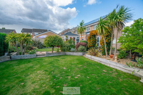 Back garden 1.5