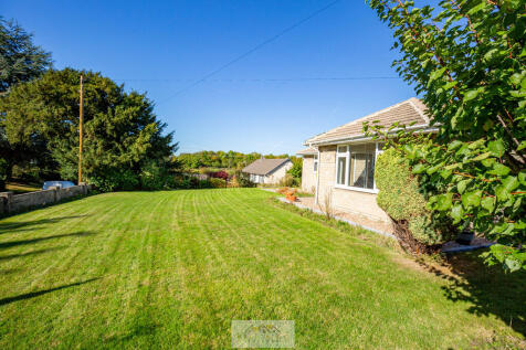 Back garden 1.1
