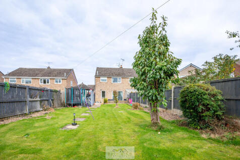 Back garden 1.5