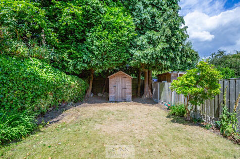 Back garden 1.6