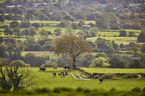 Longridge Local Seasonal Imagery