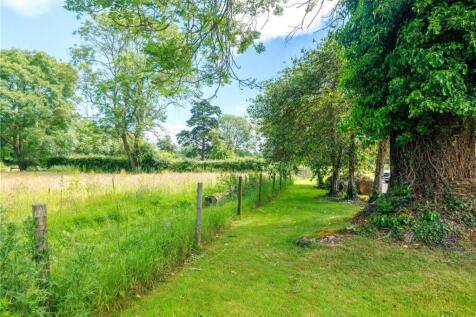 Woodland Walk