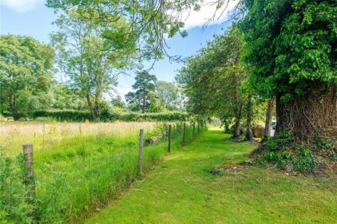 Woodland Walk