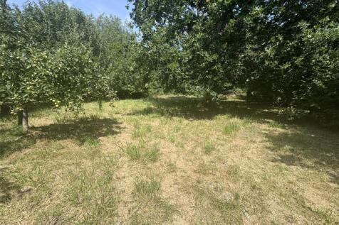 Picture 15