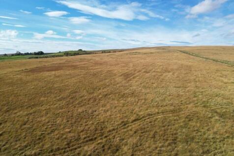 Coldtown Fell