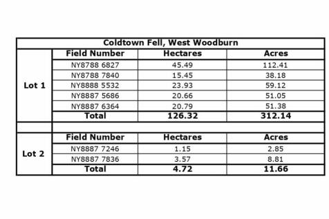 Field Schedule