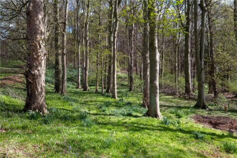Woodland