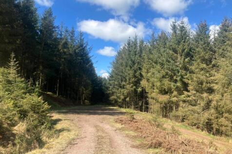 Lot 3 - Woodland