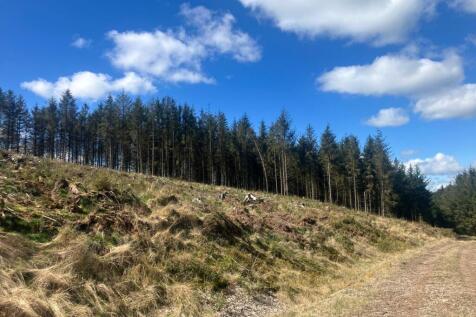 Lot 3 - Woodland