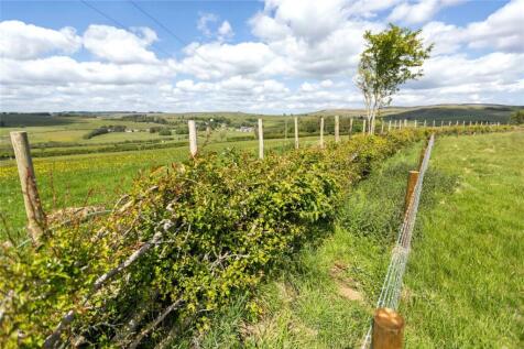 Hedge Planting