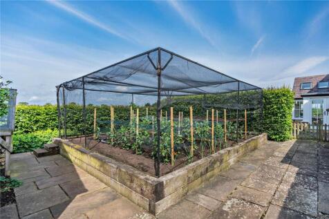 Kitchen Garden