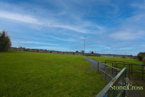 Field