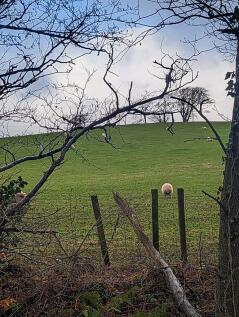 Property Image 28