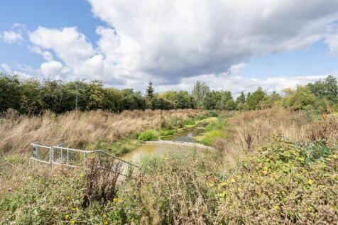 Wetland.jpg