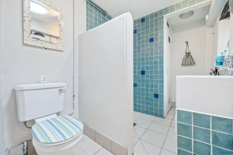 Annexe Shower Roo...